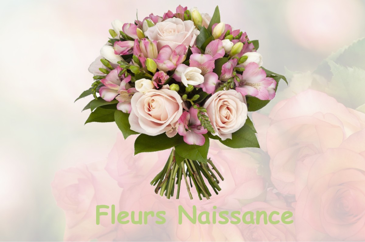 fleurs naissance NOUSSE