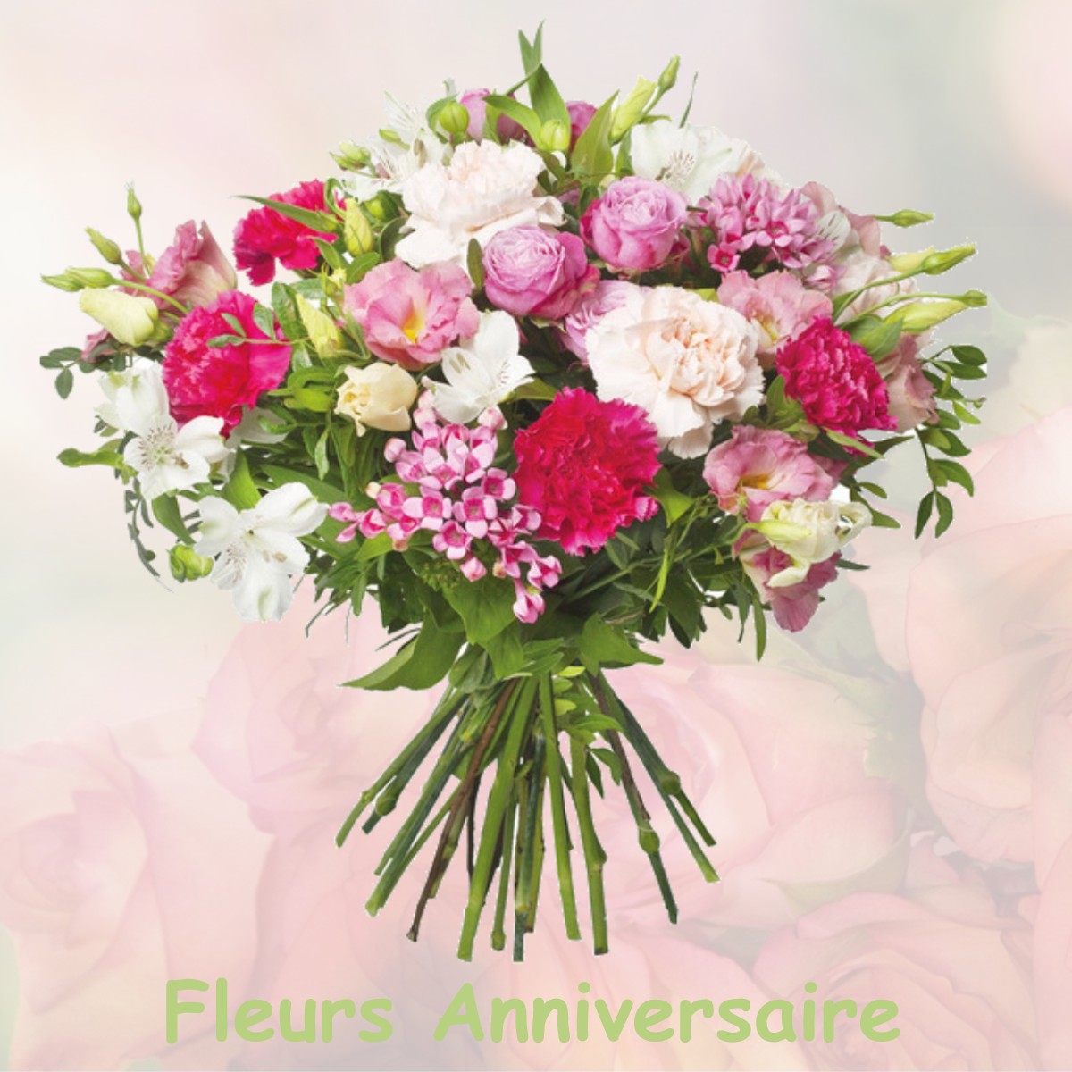 fleurs anniversaire NOUSSE