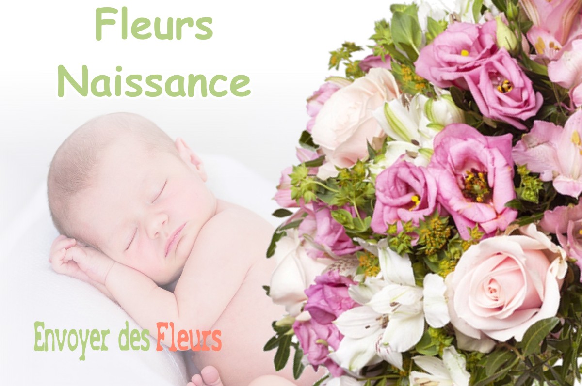 lIVRAISON FLEURS NAISSANCE à NOUSSE